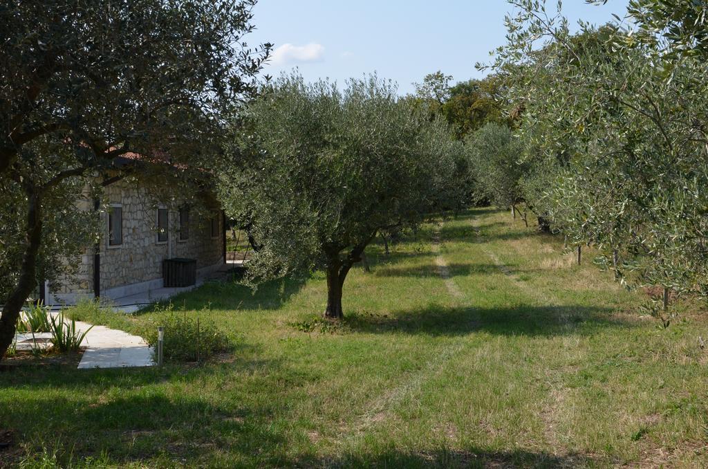 Agriturismo Bosco Magico Verona Esterno foto